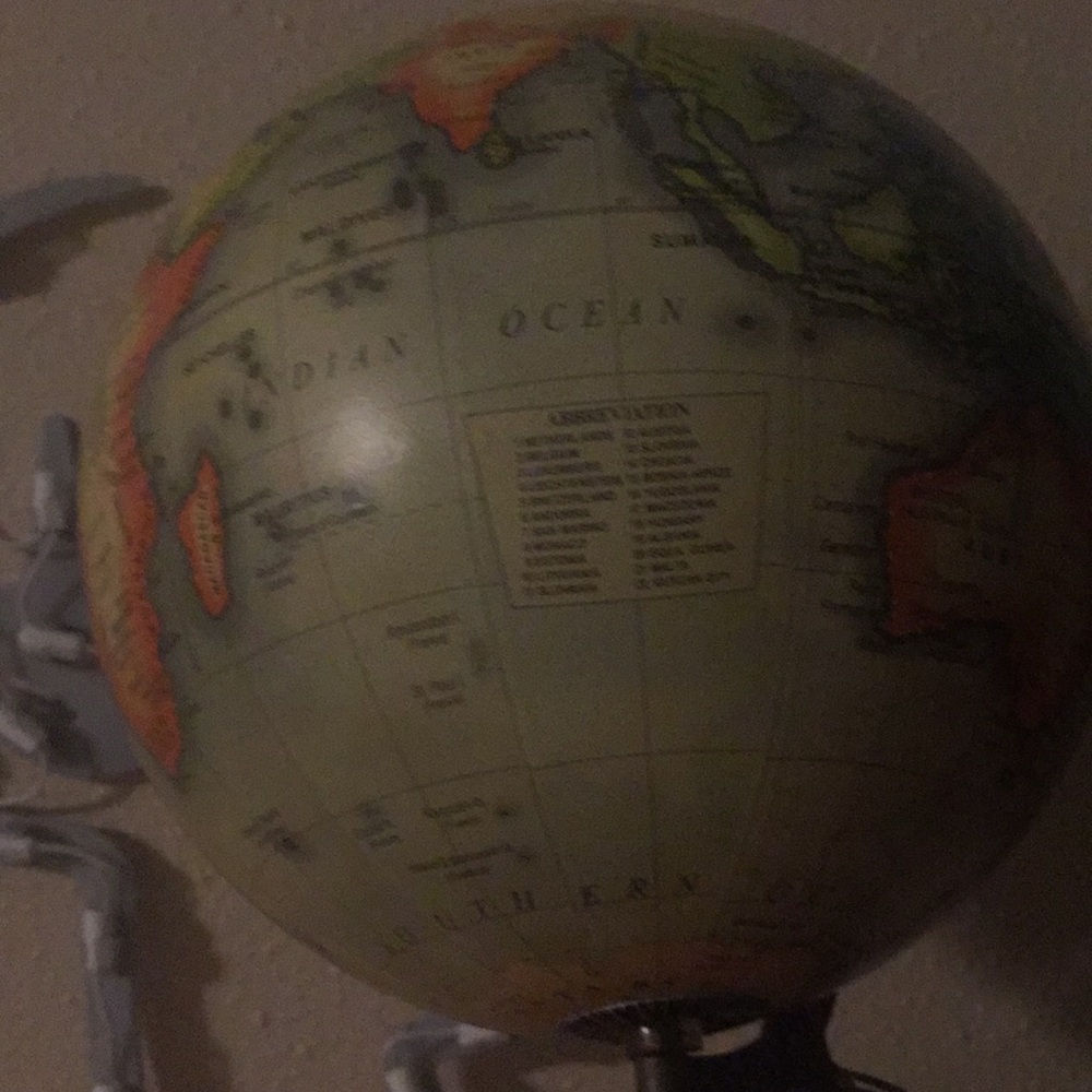 Meet your Posher, Riley